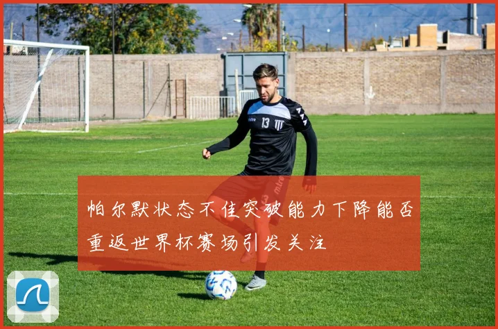 帕尔默状态不佳突破能力下降能否重返世界杯赛场引发关注