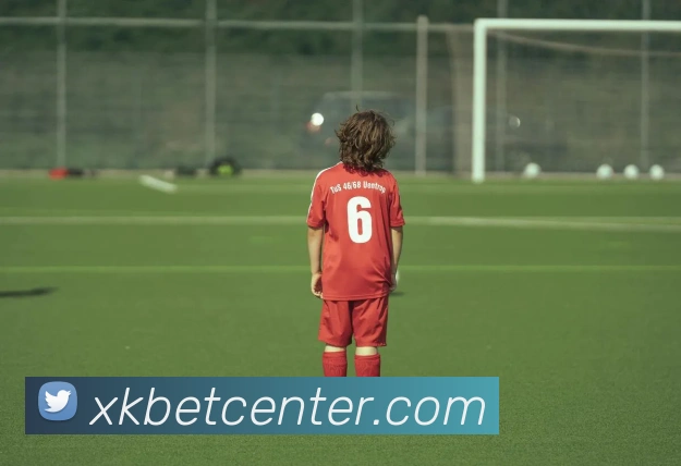 星空体育发展历程